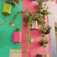 Vibrant Colorful GIF - Vibrant Colorful Plants GIFs