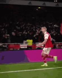 Zinchenko Arsenal GIF - Zinchenko Arsenal Afc GIFs