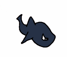 shark loop