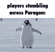 Paragon Penguin GIF - Paragon Penguin Paragon Players GIFs