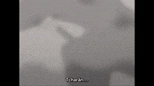 a blurred image of a person 's face with the words tcharan written on the bottom