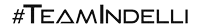 a black and white logo for #teammindelli