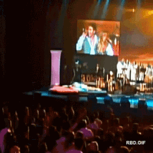a crowd of people watching a concert with rbd.gif in the corner