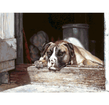 Pet Portraits From Photo GIF - Pet Portraits From Photo Dogs GIFs