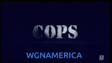 Cops The Original Series Cops The Original Series Theme Song GIF - Cops The Original Series Cops The Original Series Theme Song Badboys From Cops GIFs