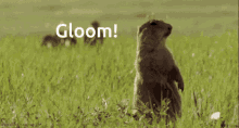 Gloom Warrior GIF - Gloom Warrior Gloom GIFs