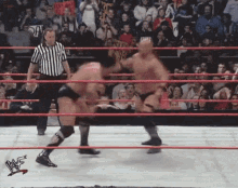 Stunner Stone Cold GIF - Stunner Stone Cold The Rock GIFs