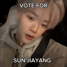 a picture of a person with the words vote for sun jiayang written on it