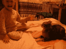 Bebé Pelea Con Gato Tu Te Llevas Y No Te Aguantas GIF - Baby Fight Cat GIFs
