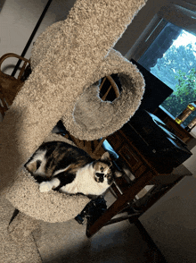 a cat laying on top of a cat tree next to a printer