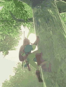 Climbing Zelda GIF