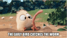 Early Bird GIF - Early Bird Catches GIFs