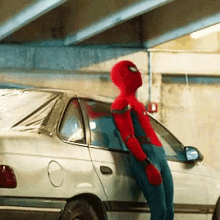 Web Head Spiderman GIF
