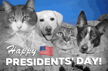 cats presidents