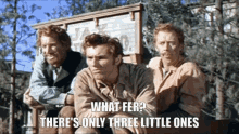 What For Three Little Ones GIF