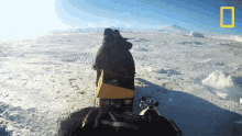 Snowmobiling World Penguin Day GIF