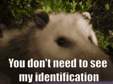 Star Wars These Arent The Droids Youre Looking For GIF - Star Wars These Arent The Droids Youre Looking For Opossum GIFs
