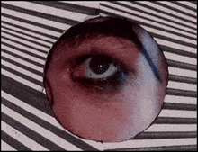 Looking-around Eyeball-looking-around GIF