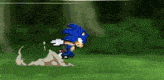 sonic the hedgehog is running on a green field in a pixel art video game .