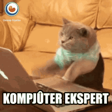 Kompjûter Ekspert Cat GIF - Kompjûter Ekspert Cat Working GIFs