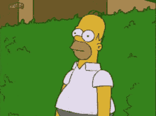 Homer Homer Simpson GIF - Homer Homer Simpson Bush GIFs
