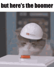 a cat wearing a hard hat is sitting on a table .