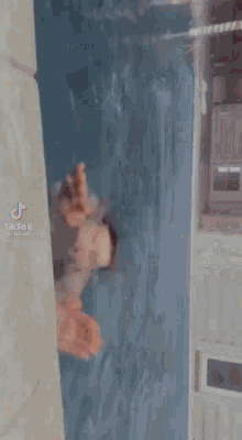 a woman 's breasts are visible in a tik tok video .