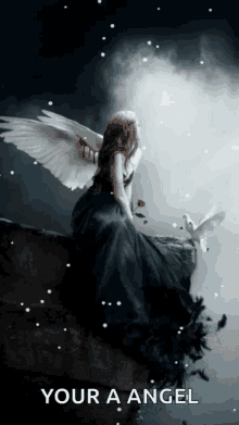 Angel Rose GIF