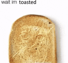Toasted Loaded GIF - Toasted Loaded Moated GIFs