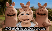 joyce misspig gabinete da joyce mentirosa angry pigs