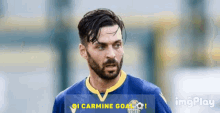 Samuel Di Carmine Hellas Verona GIF - Samuel Di Carmine Hellas Verona Verona GIFs
