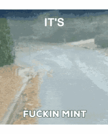 Mint Its Mint GIF - Mint Its Mint Fucking Mint GIFs