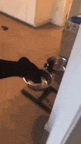 a person is putting their foot in a bowl of food .