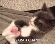 Sarah GIF - Sarah GIFs