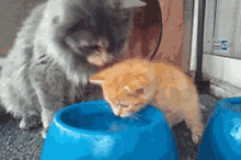 Mama Cat Cleaning Baby Cat GIF - Cat Kitten Parenting GIFs