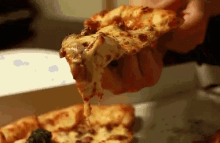 National Cheese Pizza Day Happy Cheese Pizza Day GIF