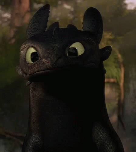 Toothless says hi
