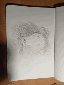 a pencil drawing of a lion 's head is open to a page that says ' lion ' on it