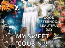 Good Afternoon Beautiful Day GIF - Good Afternoon Beautiful Day Butterfly GIFs