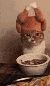 a cat wearing a turkey hat is eating food from a bowl .