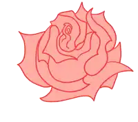 a drawing of a rose with a white background