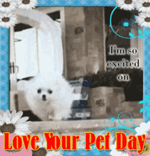 excited love your pet day dogs