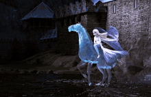 Stopped Frozen GIF - Stopped Frozen Horse GIFs
