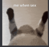 Me When Sex GIF - Me When Sex GIFs