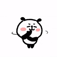 animal panda cute no nope