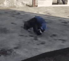 a person wearing a blue jacket is crawling on a concrete surface
