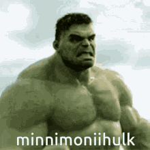 Minnimoniihulk GIF - Minnimoniihulk GIFs