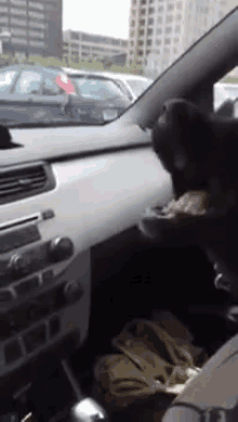 Next Best Thing To An Open Window GIF - My Mouth Is Hot Dog In The Car Dog GIFs