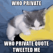 Animals With Captions Who Private GIF - Animals With Captions Who Private Private Quote Tweet GIFs