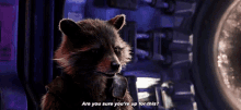 Guardians Of The Galaxy Rocket GIF - Guardians Of The Galaxy Rocket Are You Sure GIFs